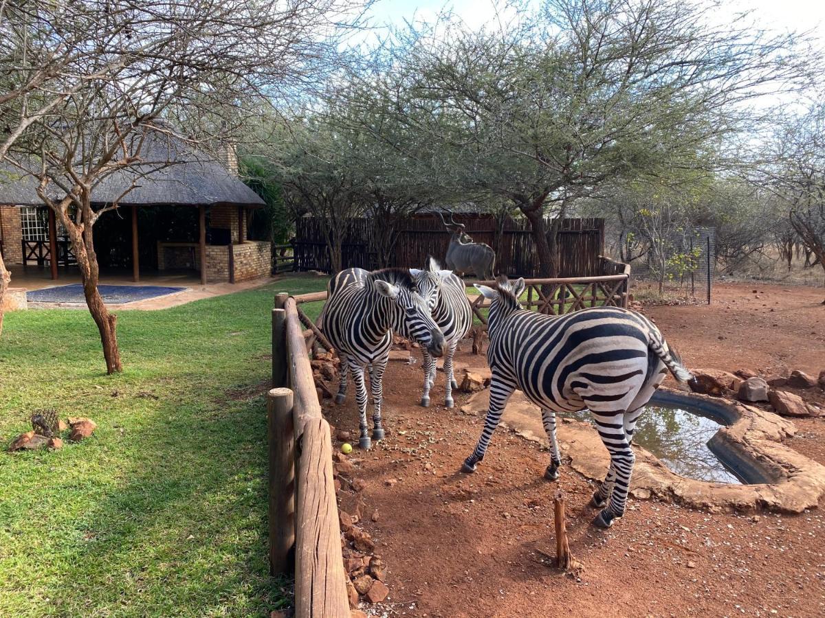 Genet House Holiday Home Marloth Park Exteriör bild